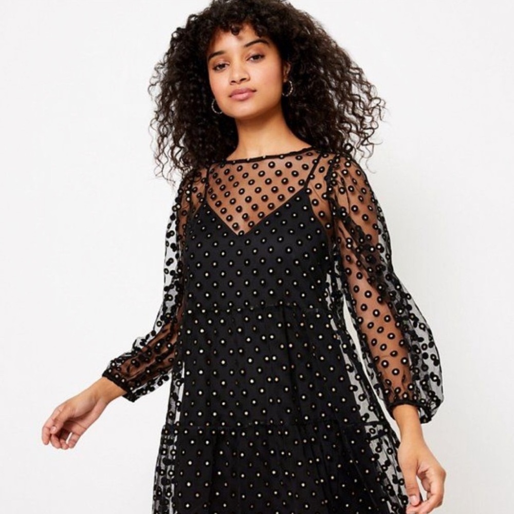 Loft Polka Dot Sheer Over Dress with long Poof Sleeves and button backing